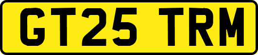 GT25TRM
