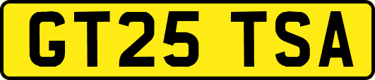 GT25TSA