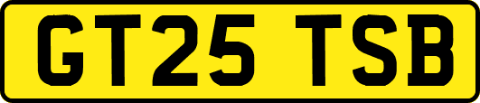 GT25TSB