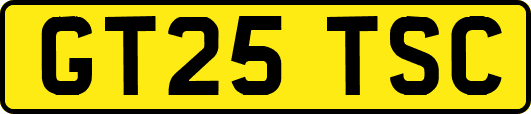 GT25TSC