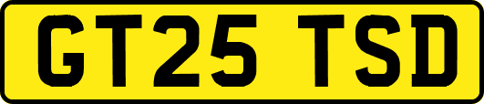 GT25TSD
