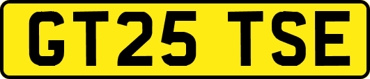 GT25TSE