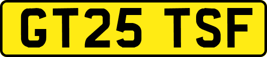 GT25TSF