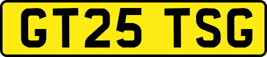 GT25TSG