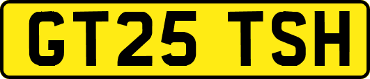 GT25TSH