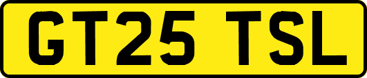 GT25TSL