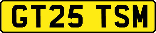 GT25TSM
