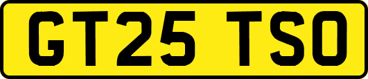 GT25TSO