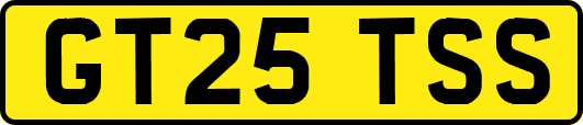 GT25TSS