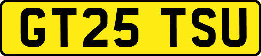 GT25TSU