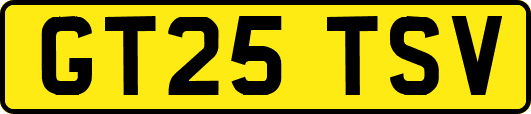 GT25TSV