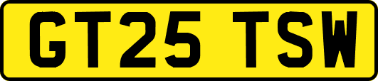 GT25TSW