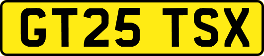 GT25TSX