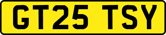 GT25TSY