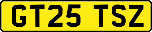 GT25TSZ