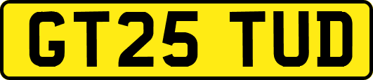 GT25TUD
