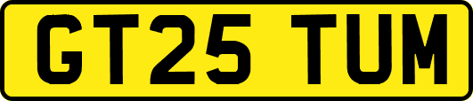 GT25TUM
