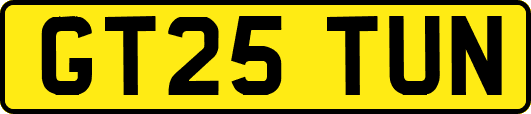 GT25TUN