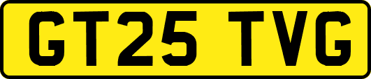 GT25TVG