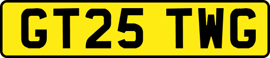 GT25TWG