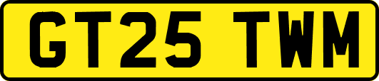 GT25TWM