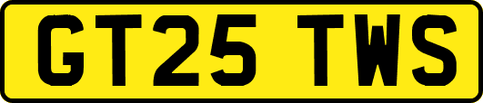 GT25TWS