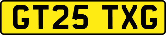 GT25TXG