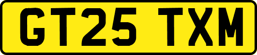 GT25TXM