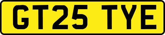 GT25TYE