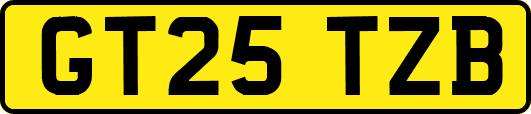 GT25TZB