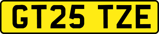 GT25TZE
