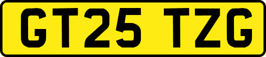 GT25TZG