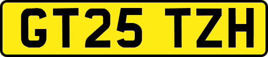 GT25TZH