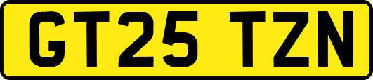 GT25TZN