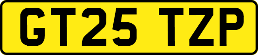 GT25TZP