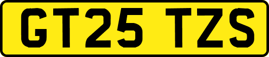 GT25TZS