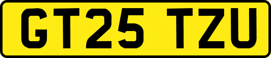 GT25TZU