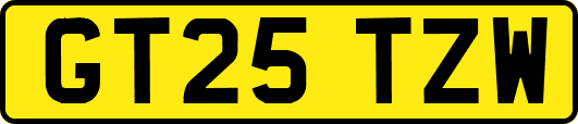 GT25TZW