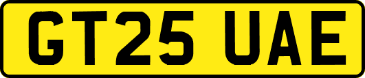 GT25UAE