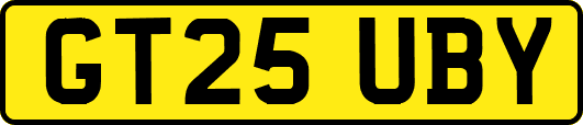 GT25UBY