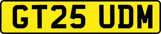 GT25UDM