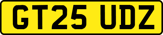 GT25UDZ