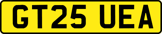 GT25UEA
