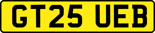GT25UEB