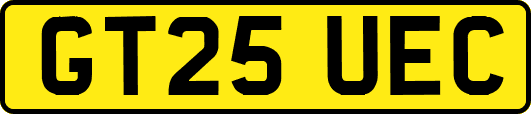 GT25UEC