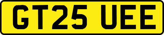 GT25UEE