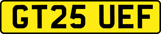 GT25UEF