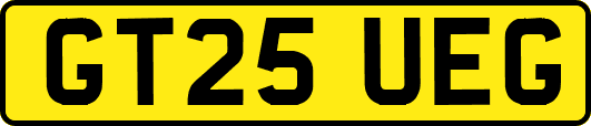 GT25UEG