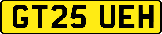 GT25UEH