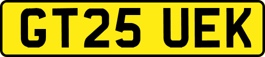 GT25UEK